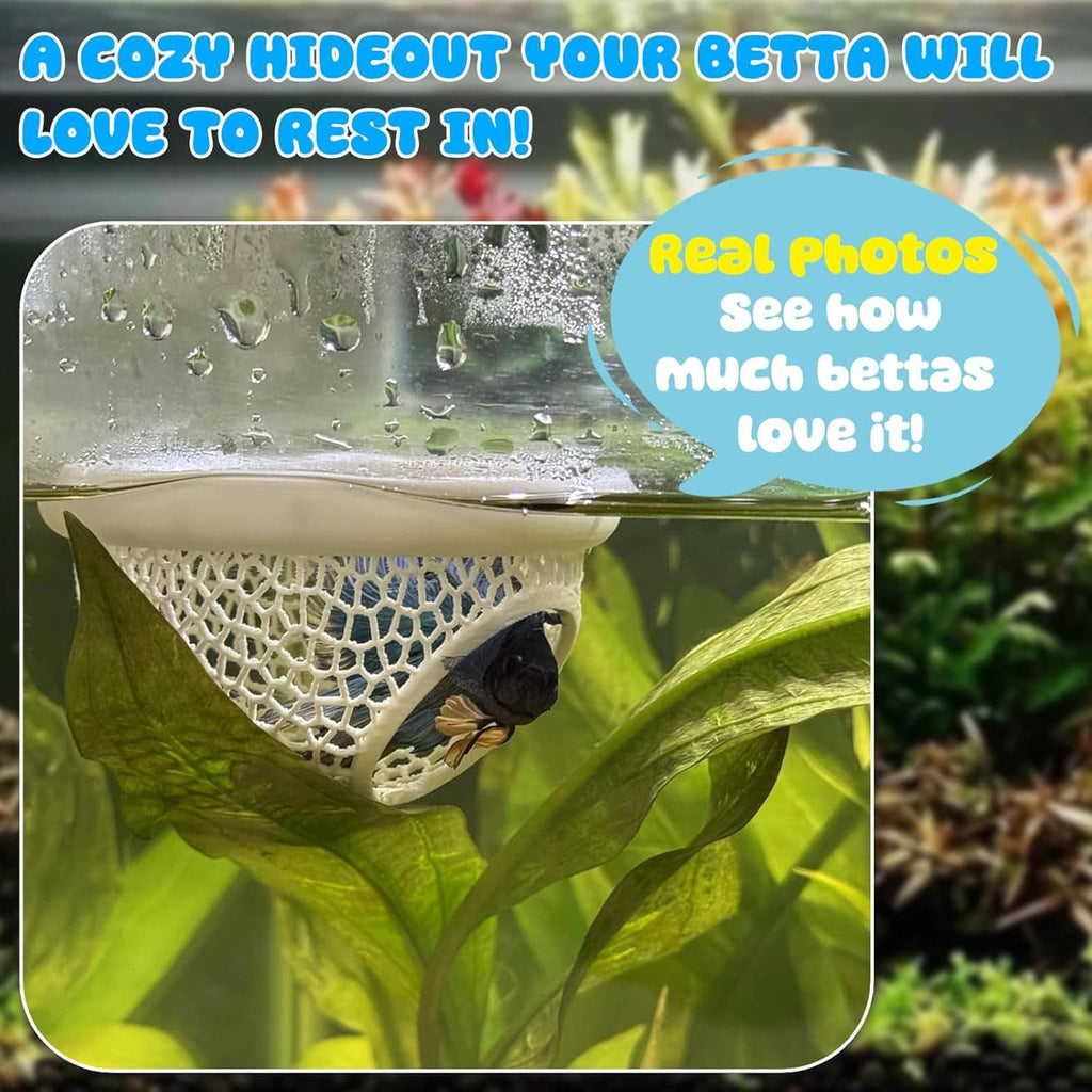 White mesh floating betta hide hammock with triangular opening in aquarium