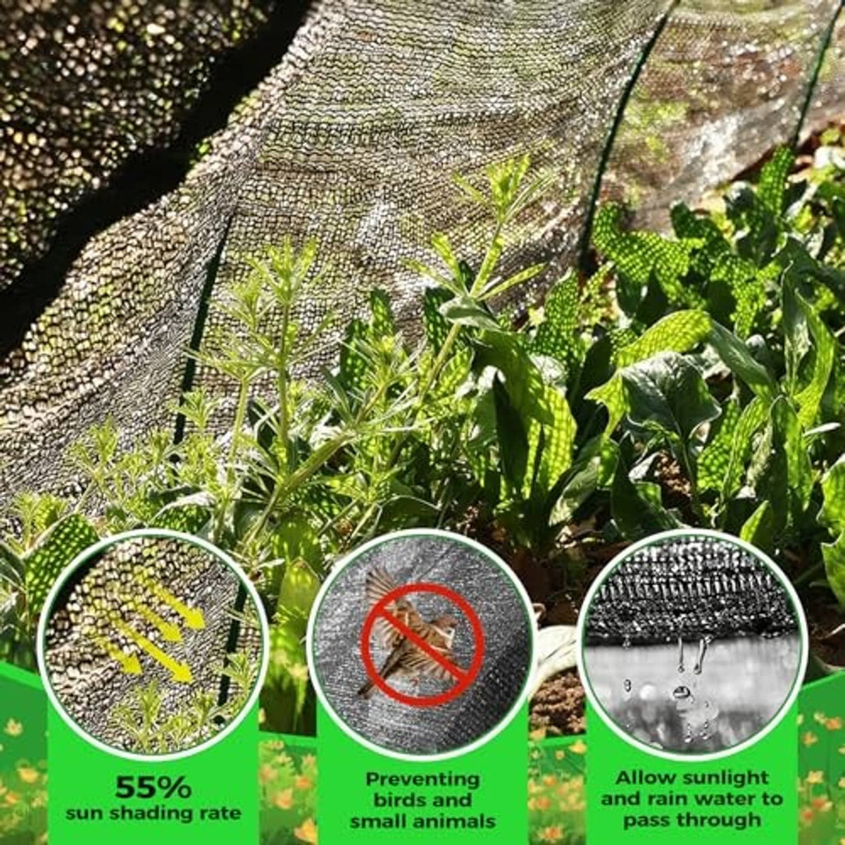 Dark gray shade cloth canopy over plants, visible mesh pattern and plant coverage