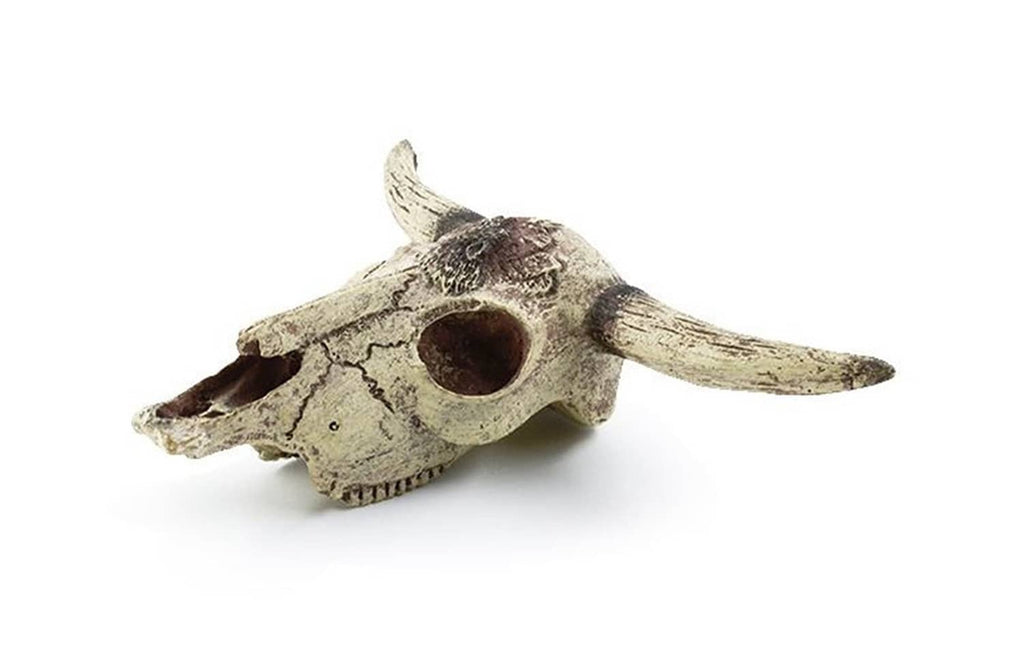 Aquarium skull ornament with large round opening and side fins, beige with dark speckles