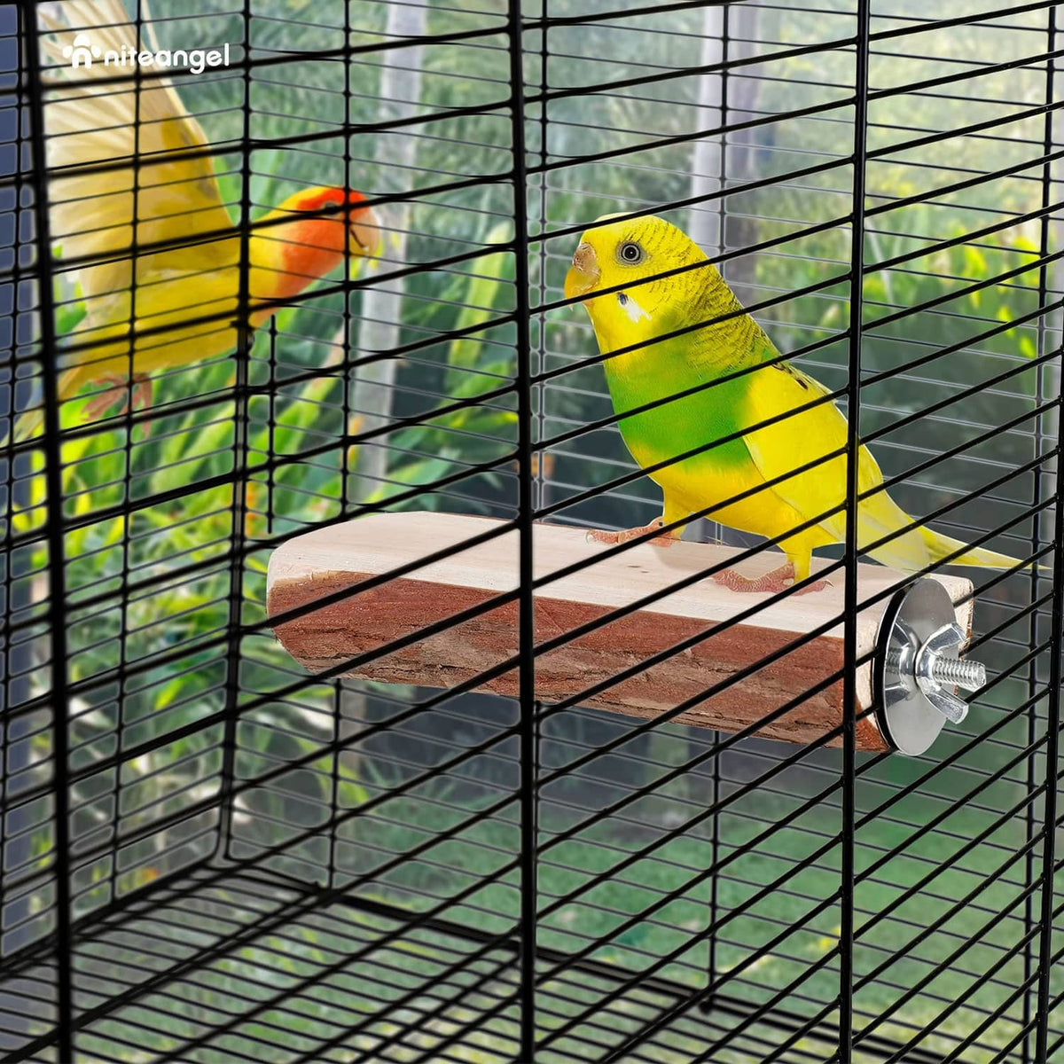 Wooden perch platform attached to wire bird cage with two mounting bolts