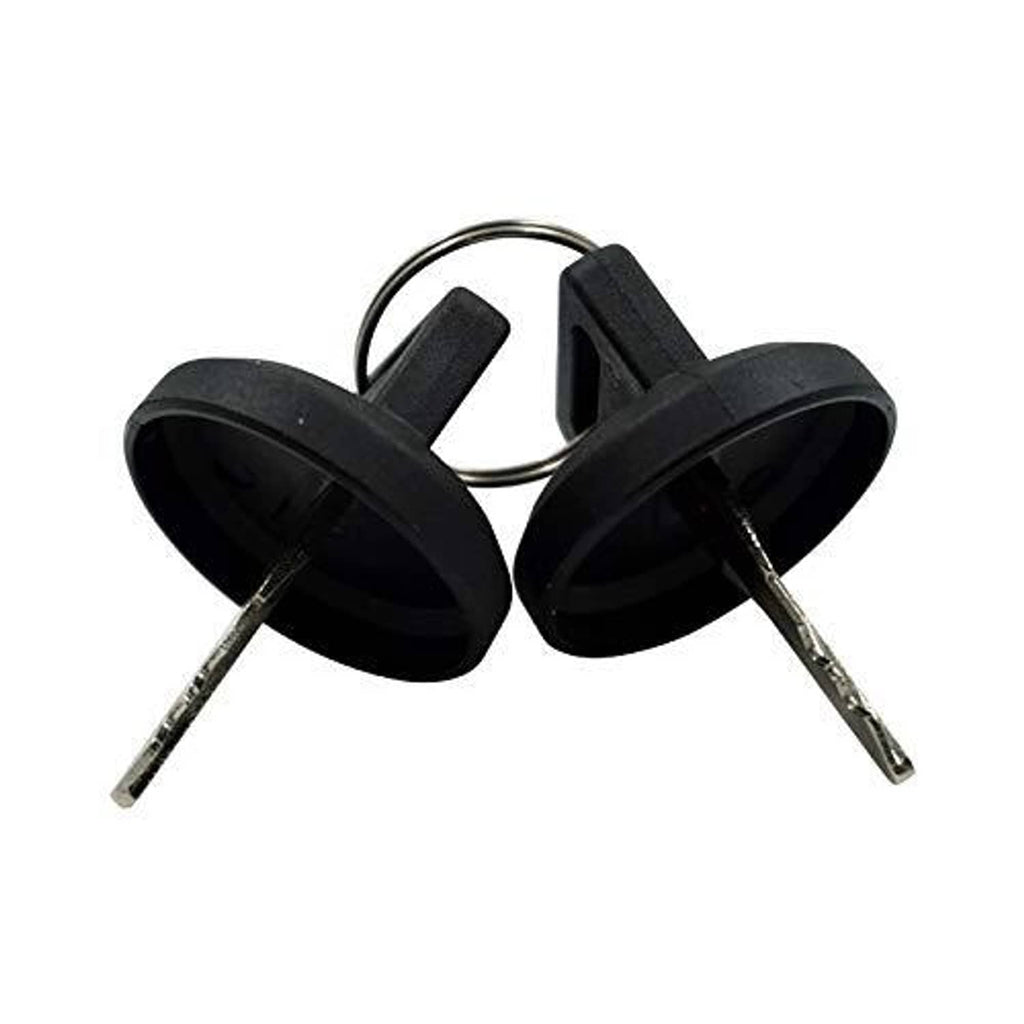 Set of two ignition keys with metal blades and black plastic heads