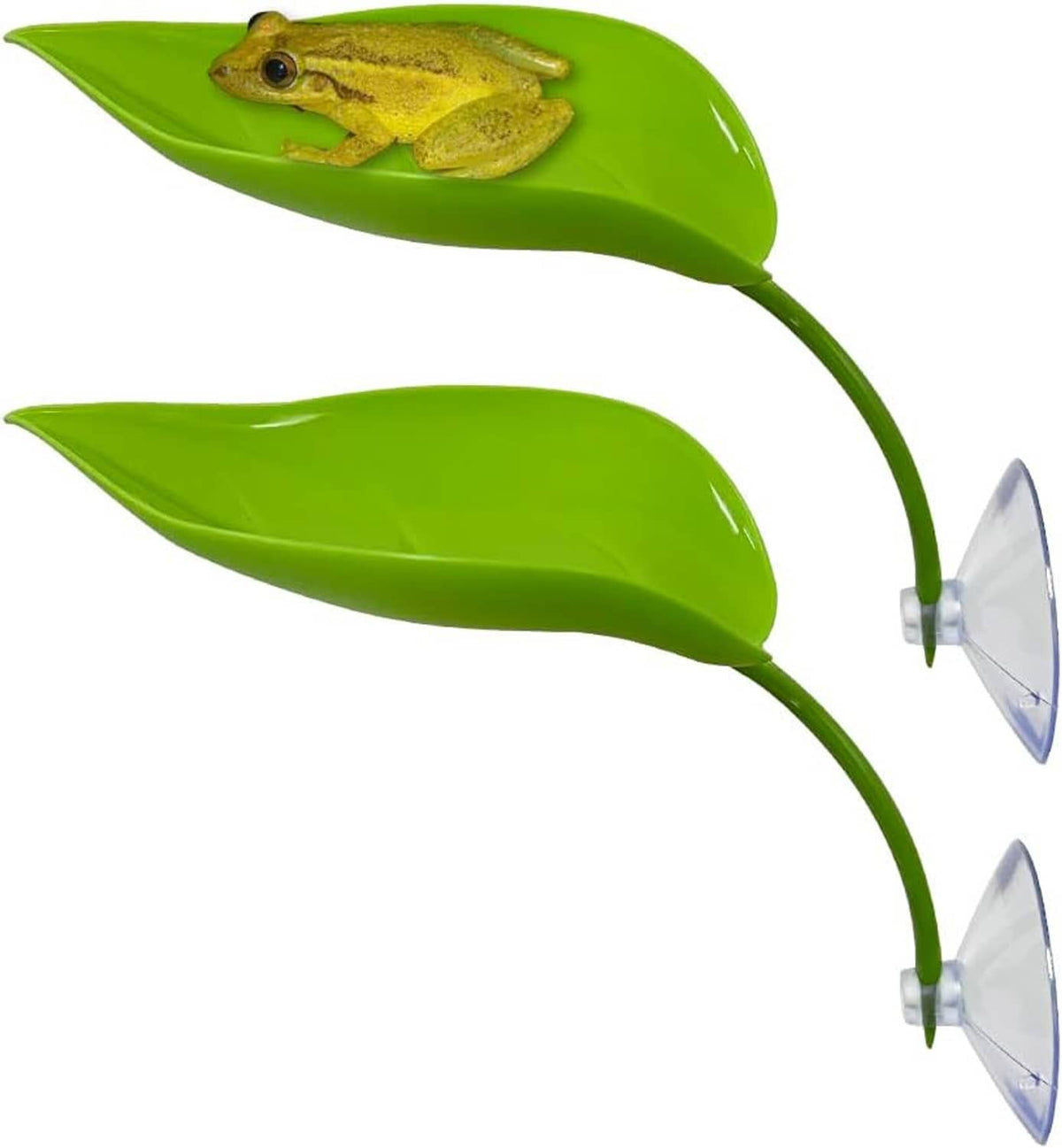 Green leaf basking platform set with suction cups; frog on top leaf (two pieces)