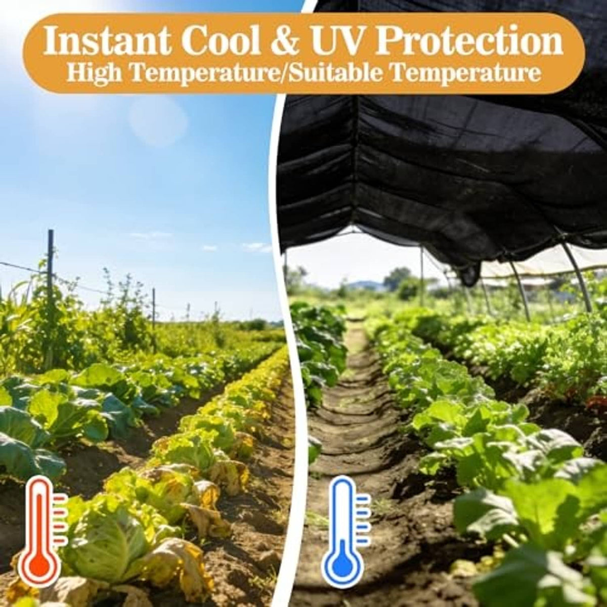 Black shade cloth covering over garden beds for UV and cooling protection