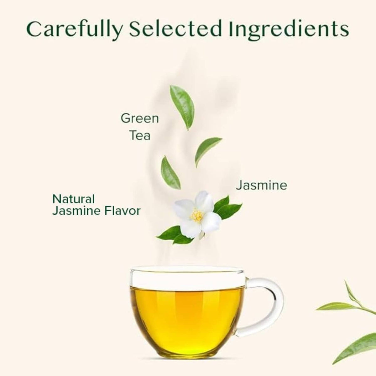 Jasmine green tea cup with jasmine flowers and green tea leaves illustration