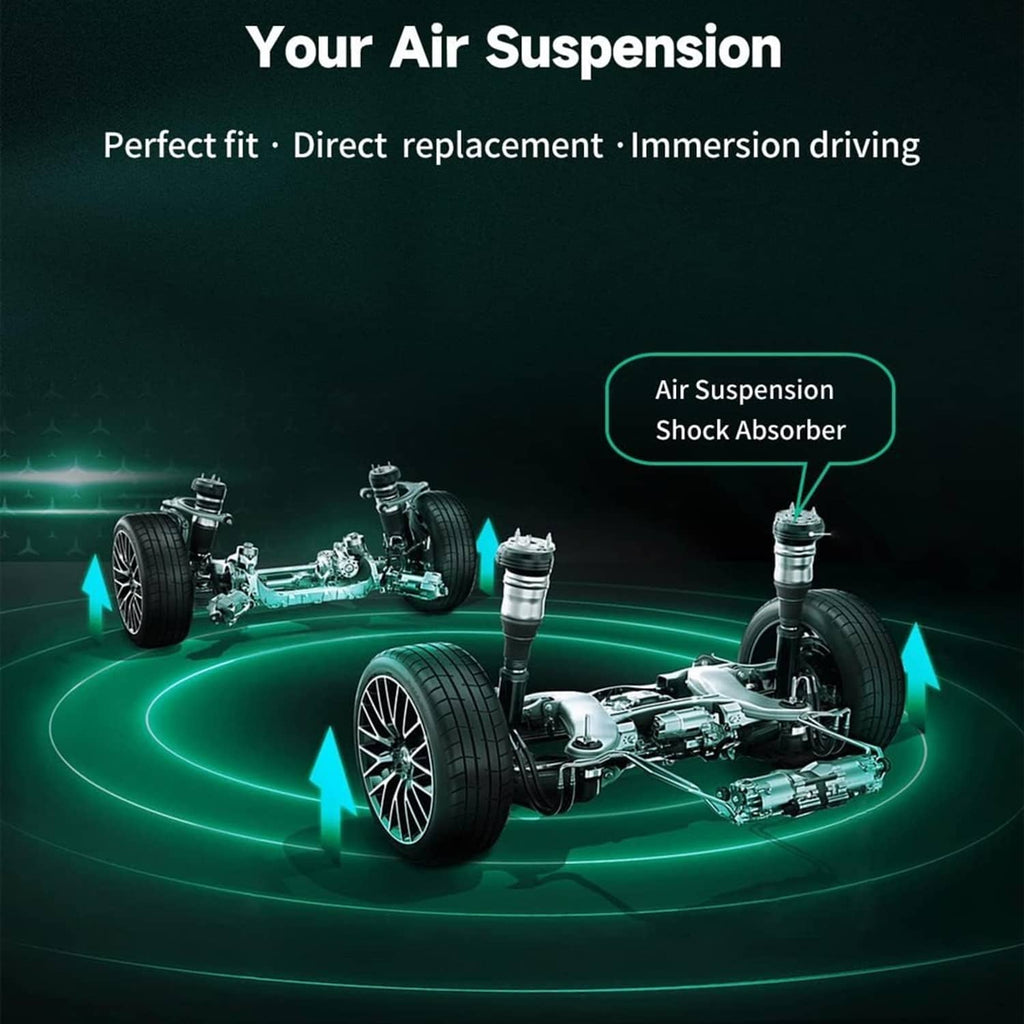 Air suspension system concept with mounted shock absorber and undercarriage components