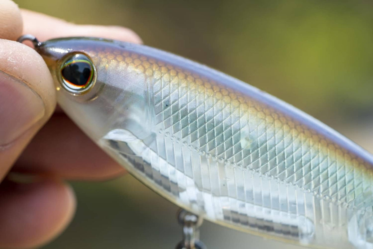 Topwater lure close-up held in hand, silver-blue body with patterned gill detail