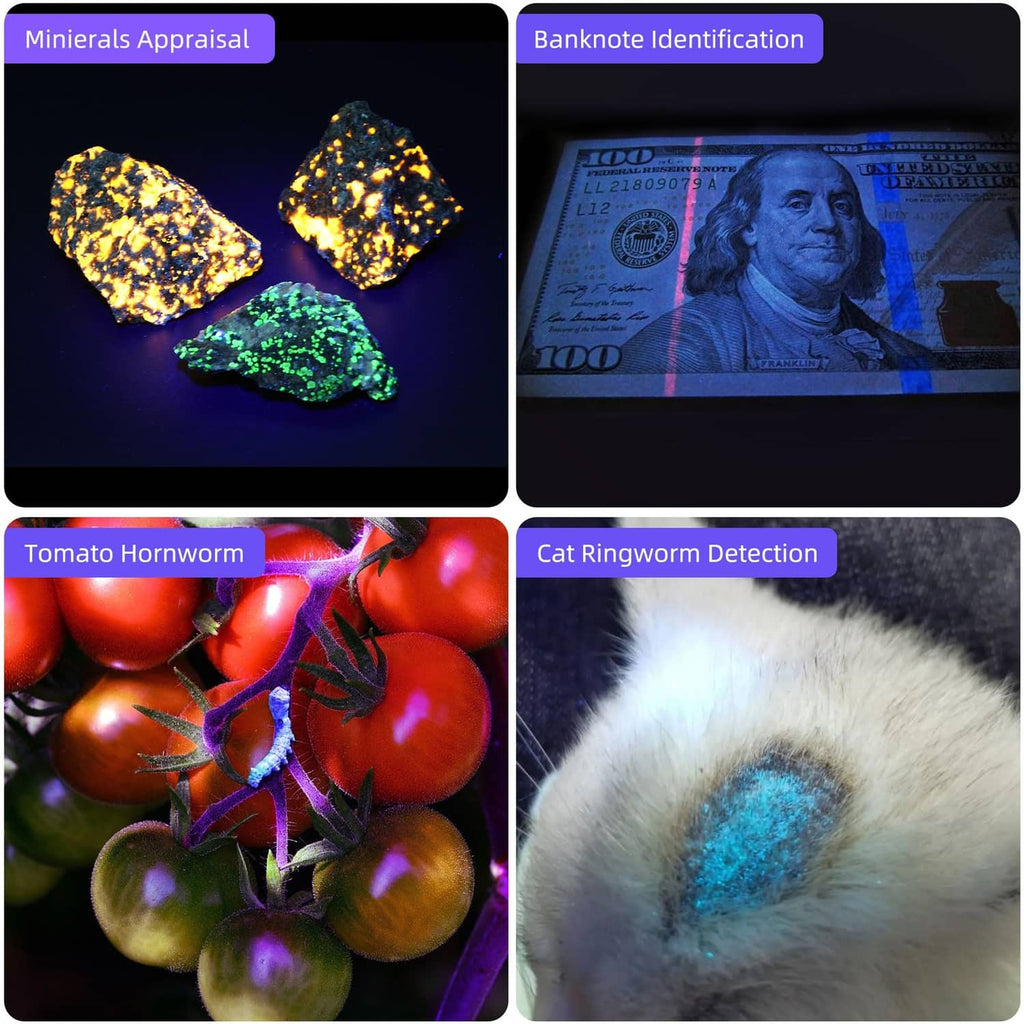 365nm UV flashlight revealing fluorescent stains on items and cat fur
