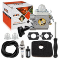 Carburetor maintenance kit with carburetor body, filters, gaskets, bulb, fuel line and tools
