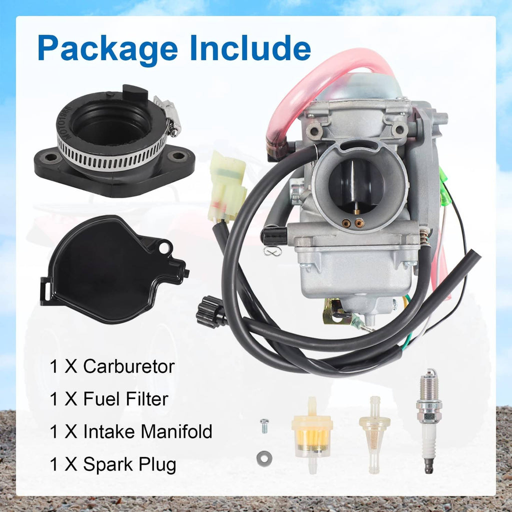 Carburetor kit components: carburetor, intake manifold, fuel filter, spark plug, parts