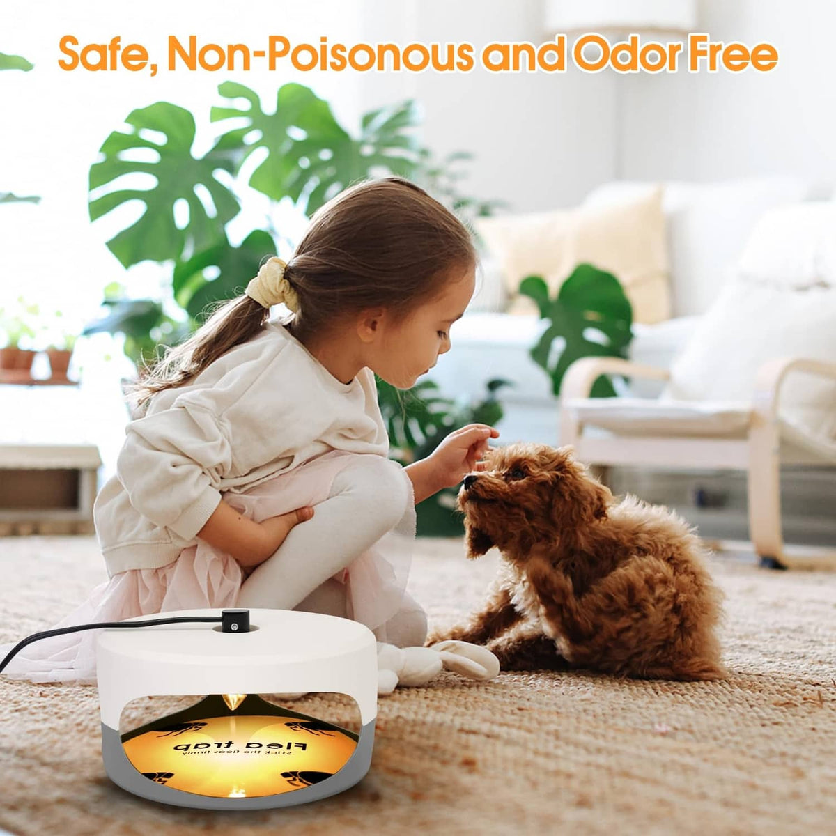 Round flea trap sticky pad refill on floor with pet-safe household setting
