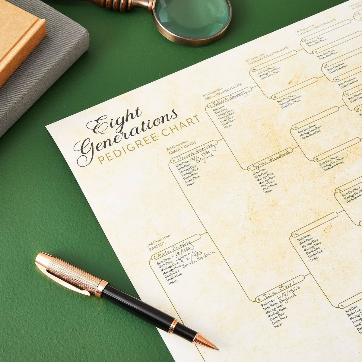 Off-white pedigree chart with connected branches and blank name/date fields, with pen