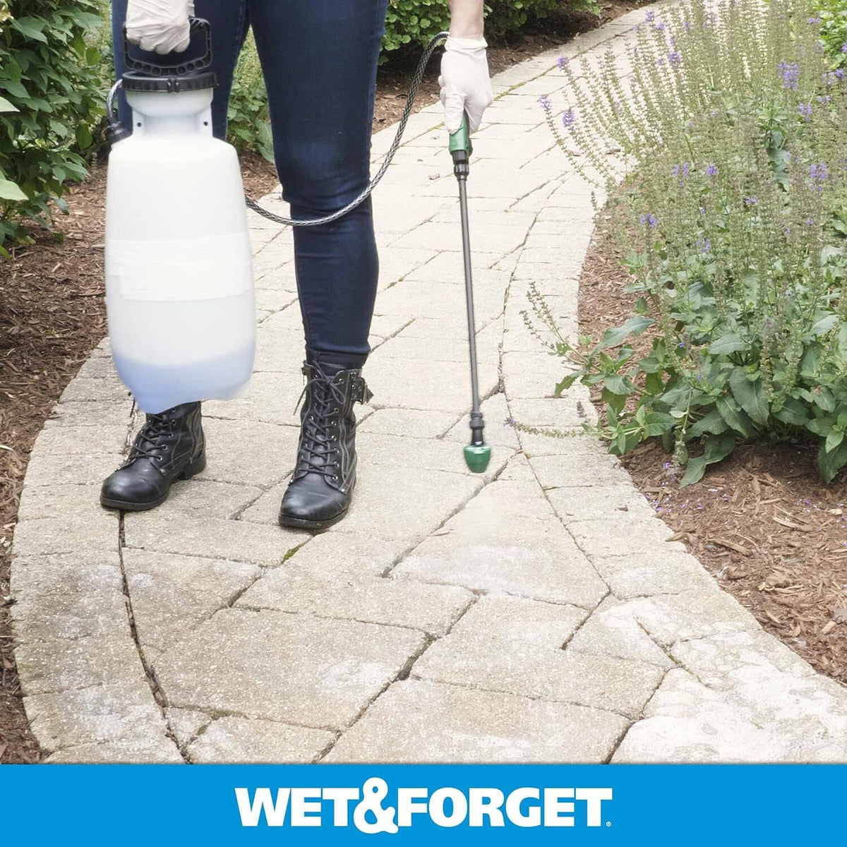Outdoor stone walkway with mossy patches and dirt, cleaner applied with sprayer