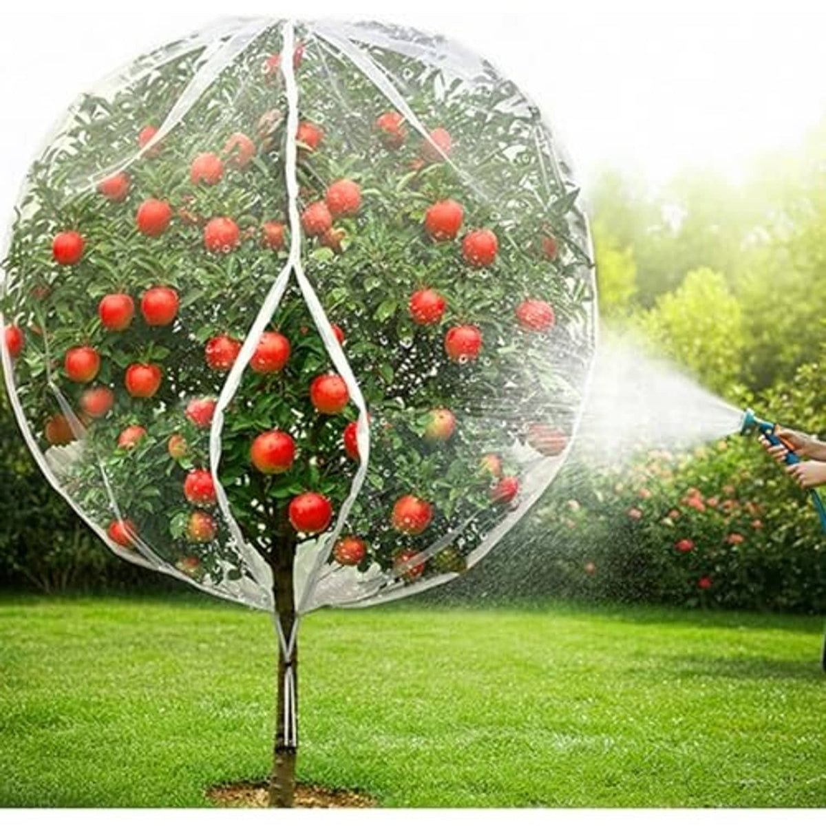 White dome garden netting covering a fruit tree, with red apples visible inside