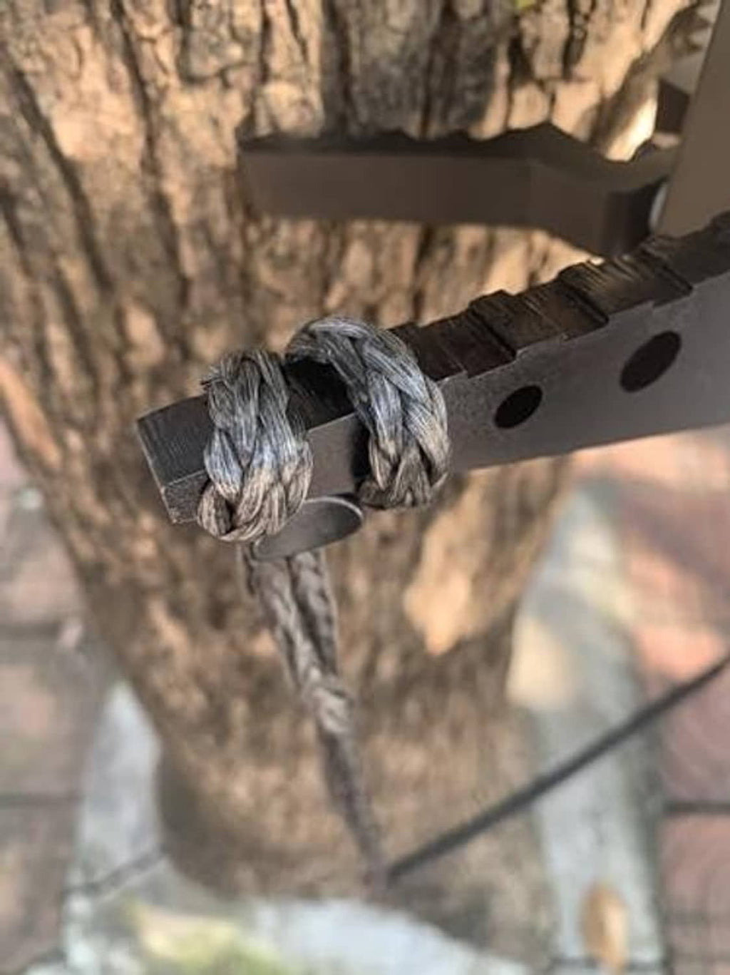 Close-up of black rope knot tied to a tree climbing aider’s metal bracket with holes.