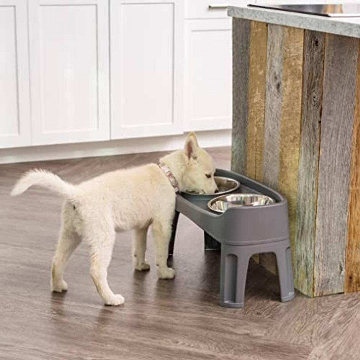 Grey elevated dog bowl stand with two stainless steel bowls; small dog drinking
