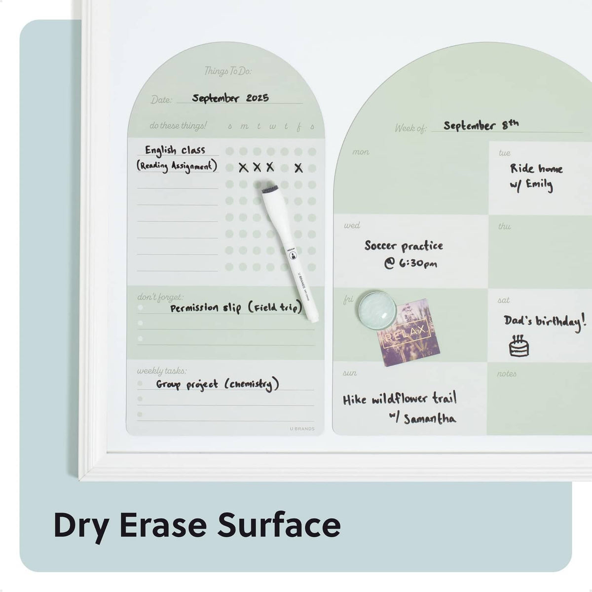 Sage green magnetic calendar planner with September 2025 weekly schedule and notes
