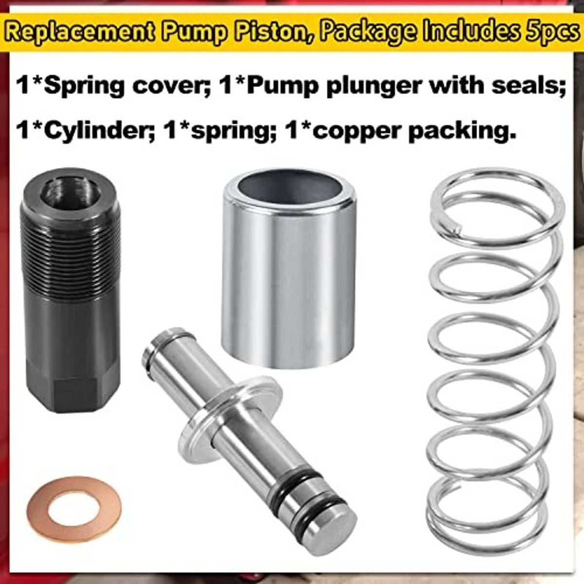 Pump piston package includes spring, pump plunger with seals, cylinder, and gasket