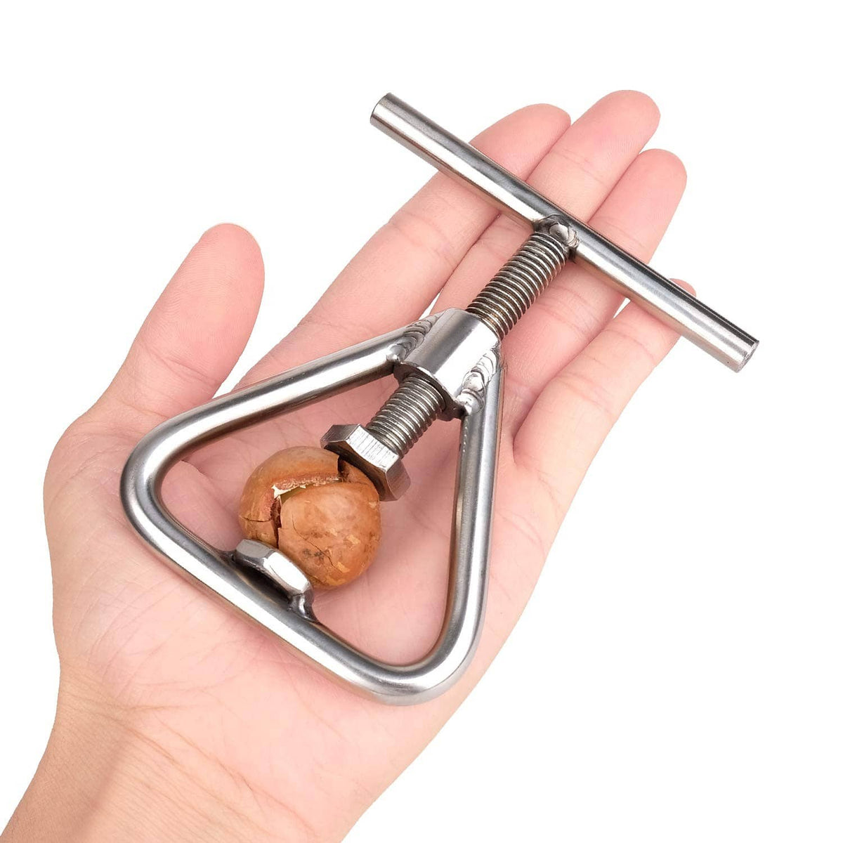 Stainless steel nut cracker held in hand, walnut positioned in the jaws