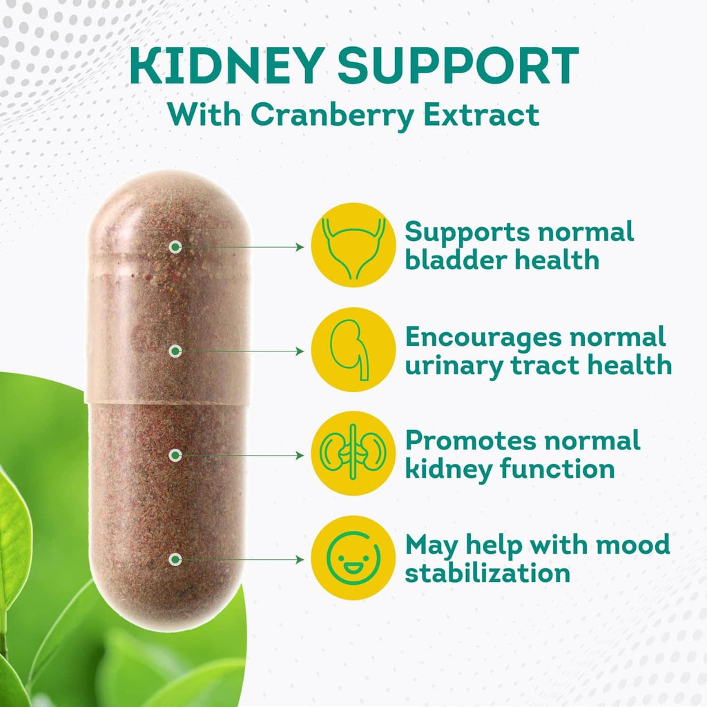 Capsule for kidney support with cranberry extract, with bladder and urinary icons.