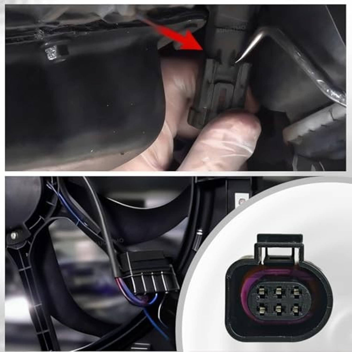 6-pin connector pigtail with purple sealing insert and wire leads shown in a close-up.