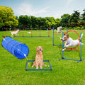 Dog agility obstacle course set with blue tunnel and jump bars for outdoor training