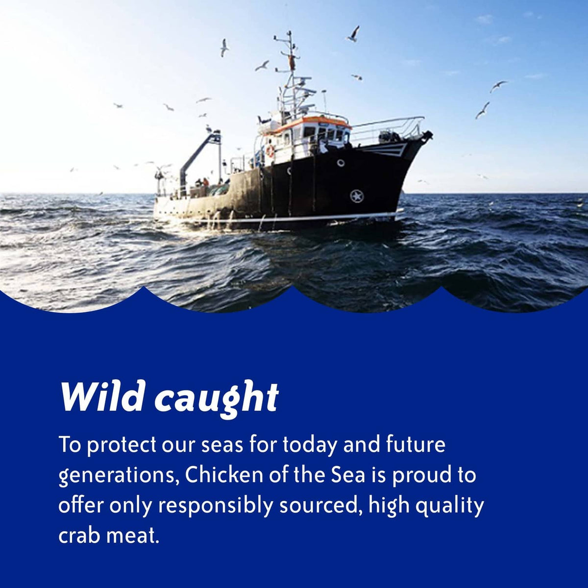 Wild-caught seafood concept with cargo ship at sea