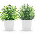 ZJIA 2-pack artificial plants: small green plants in white square pots.