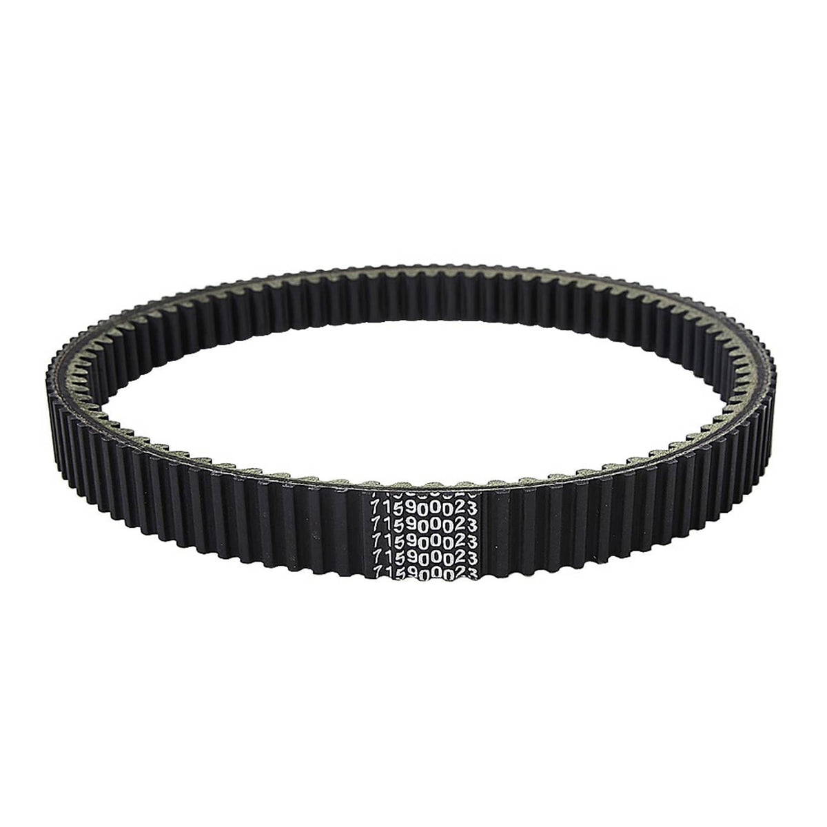 Drive belt with black teeth and printed part numbers on outer edge