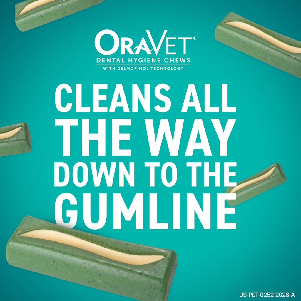 Green dental hygiene chew sticks with beige center filling