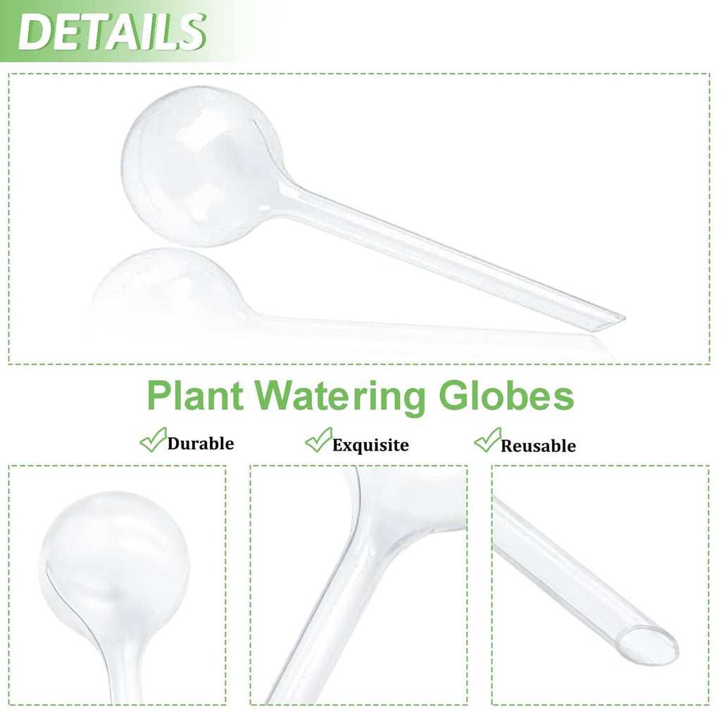 Clear plastic plant watering globe with bulb top and narrow tube, close-up detail