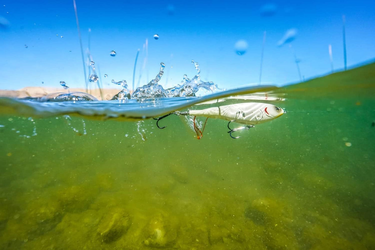 Topwater fishing lure near the water surface with splash during a strike