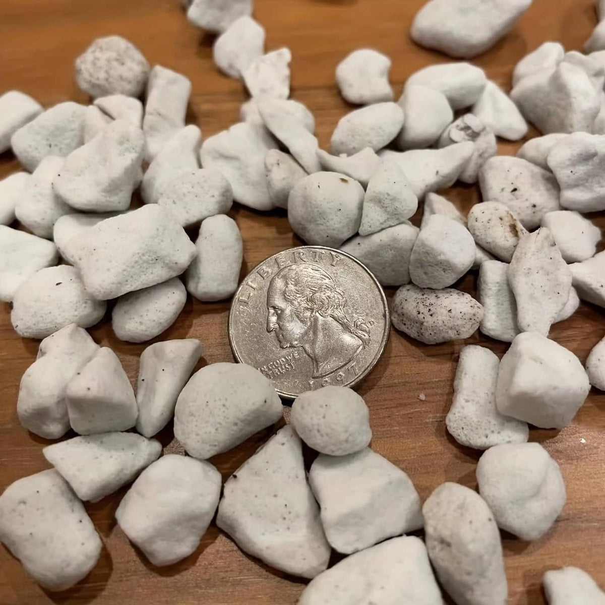 White chunky perlite stones beside a coin for size reference