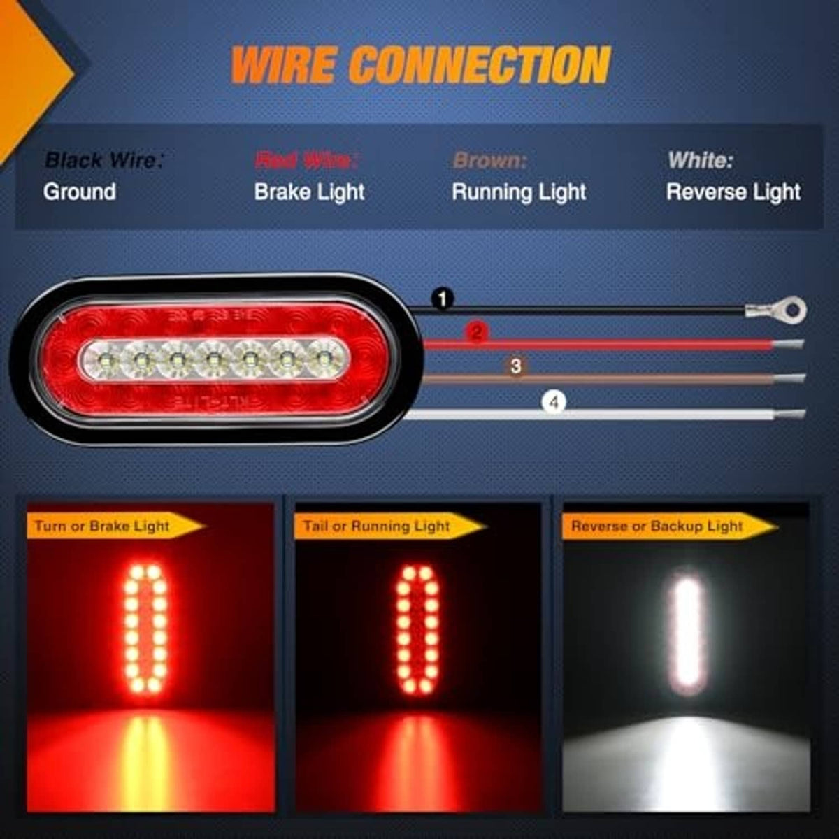 Oval red LED tail light with black frame and wiring connection diagram