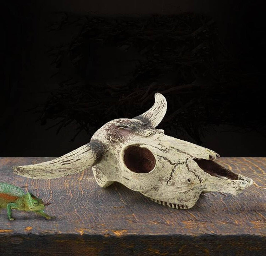 Aquarium skull ornament with rounded eye hole and textured beige finish