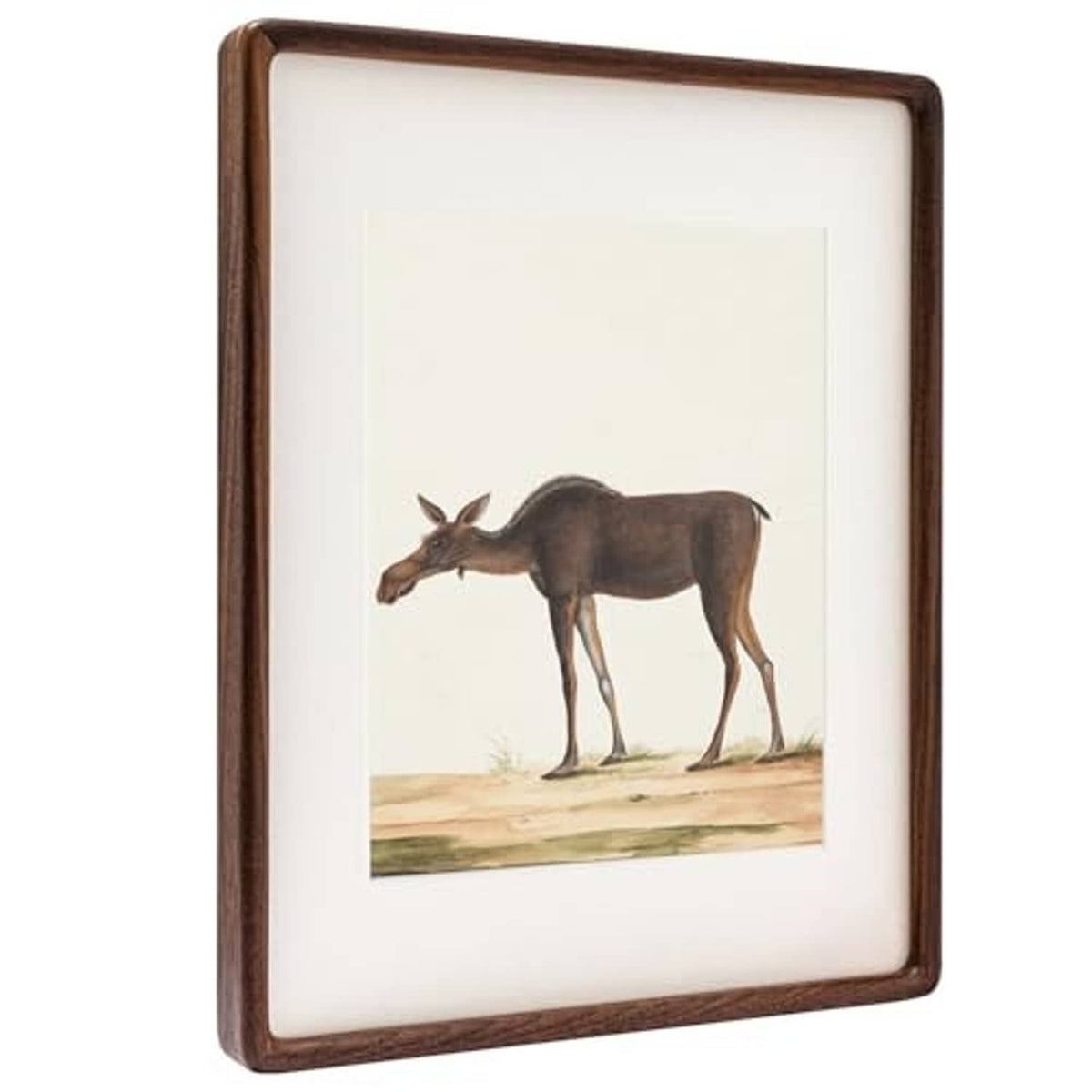 Walnut wood picture frame holding a deer illustration print on a light background