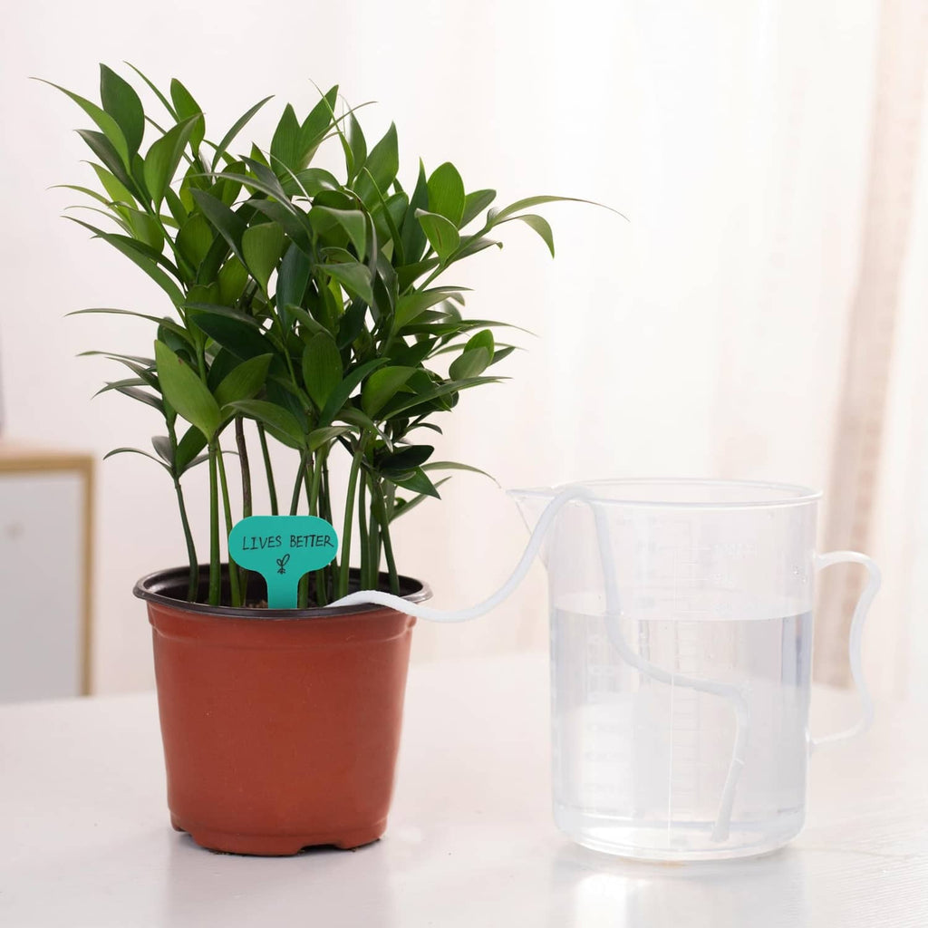 Self-watering plant watering setup with potted plant and clear water reservoir