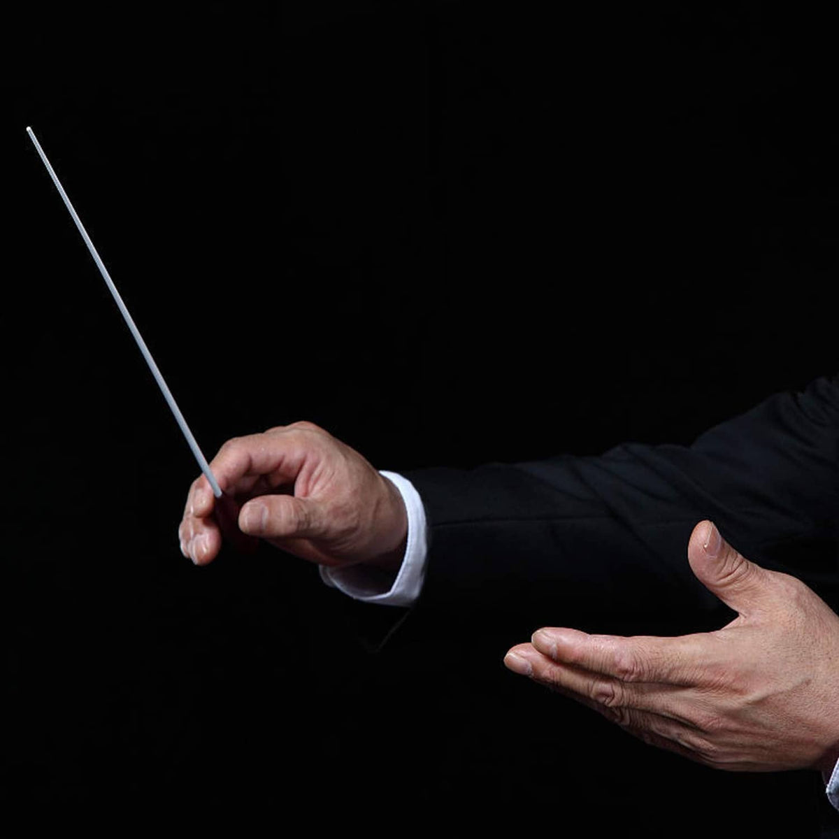 Conductor holding baton: white shaft with black handle, raised for conducting