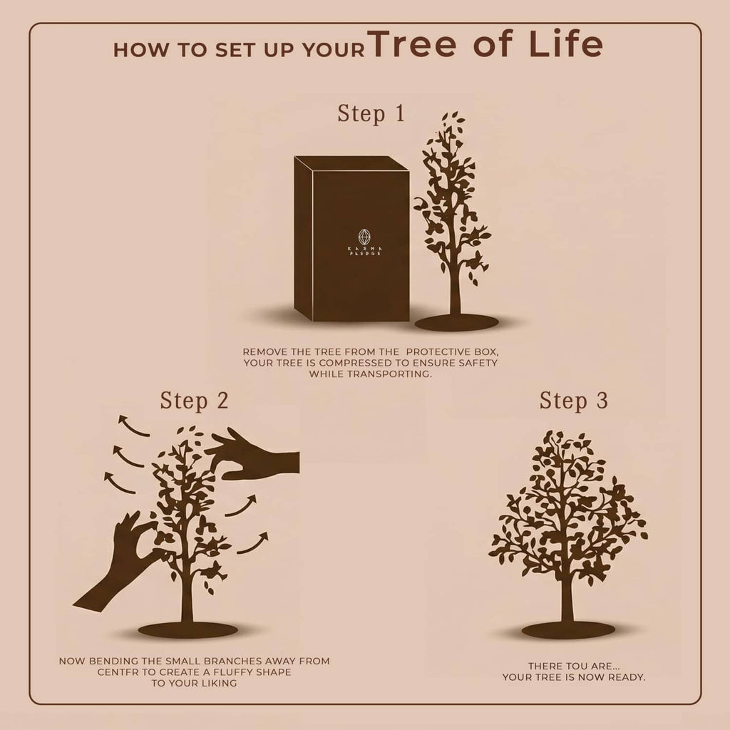 Crystal tree of life setup instruction card showing assembled tree silhouette