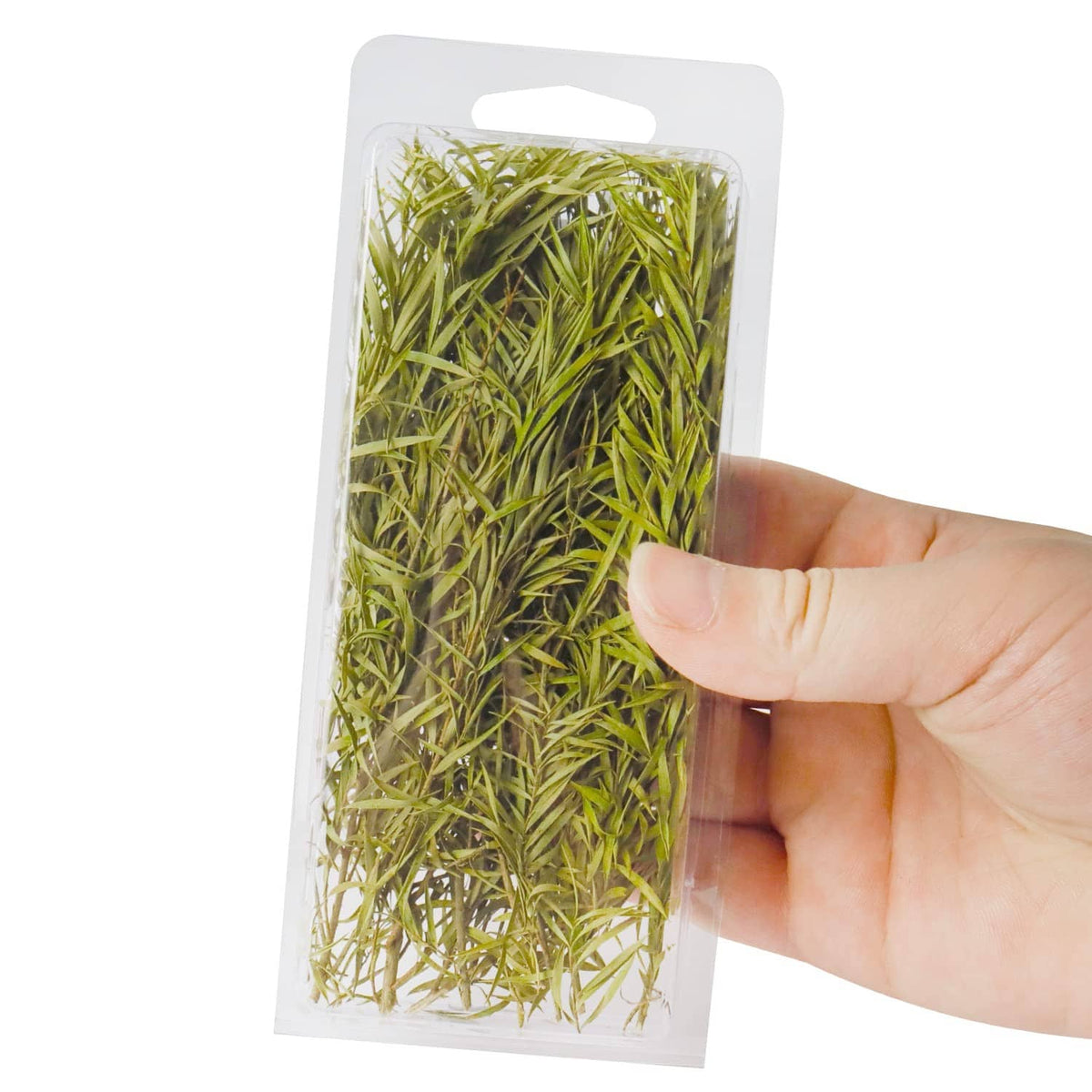 Miniature model shrub bushes blister pack, dense green grasslike foliage