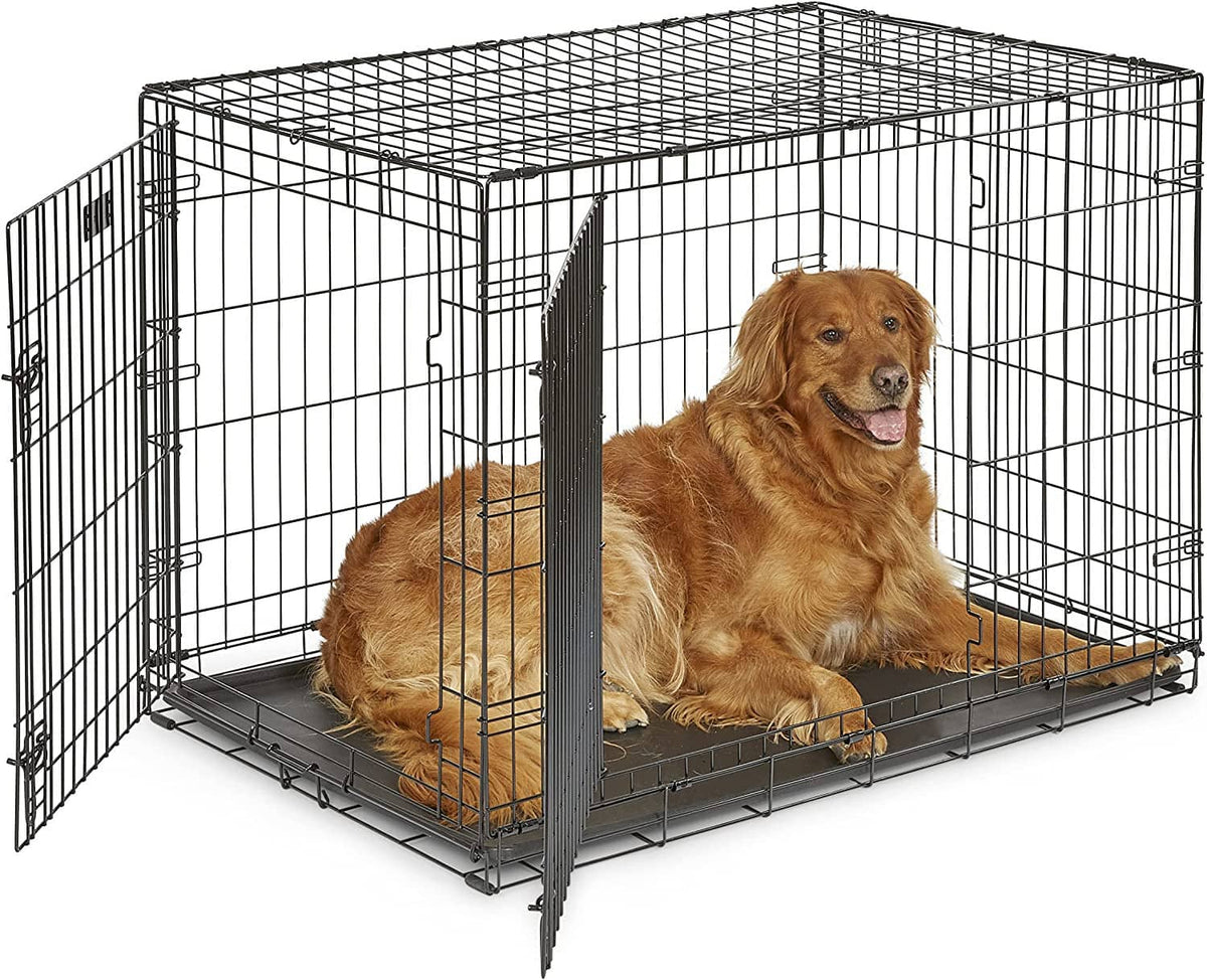 Large black wire dog crate with door open and golden retriever resting inside