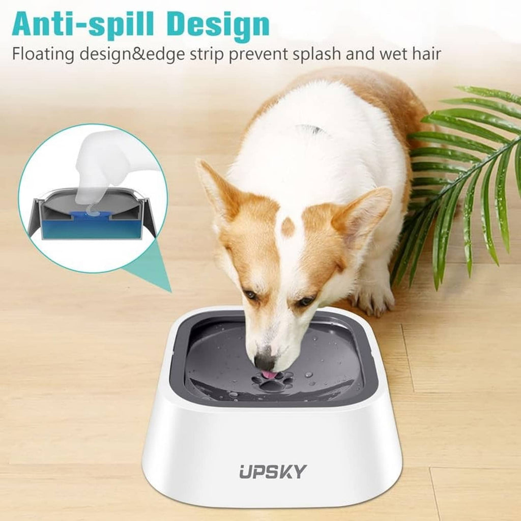 White pet water bowl with raised anti-spill edge and gray floating insert basin.