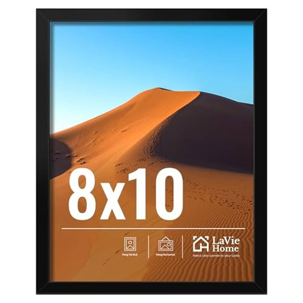 Black 8x10 picture frame with clear plexiglas, showing desert landscape