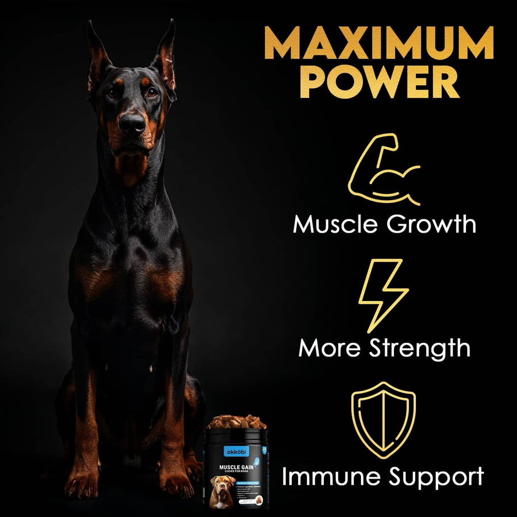 Dog muscle growth supplement can with 'Maximum Power' and muscle-growth icons