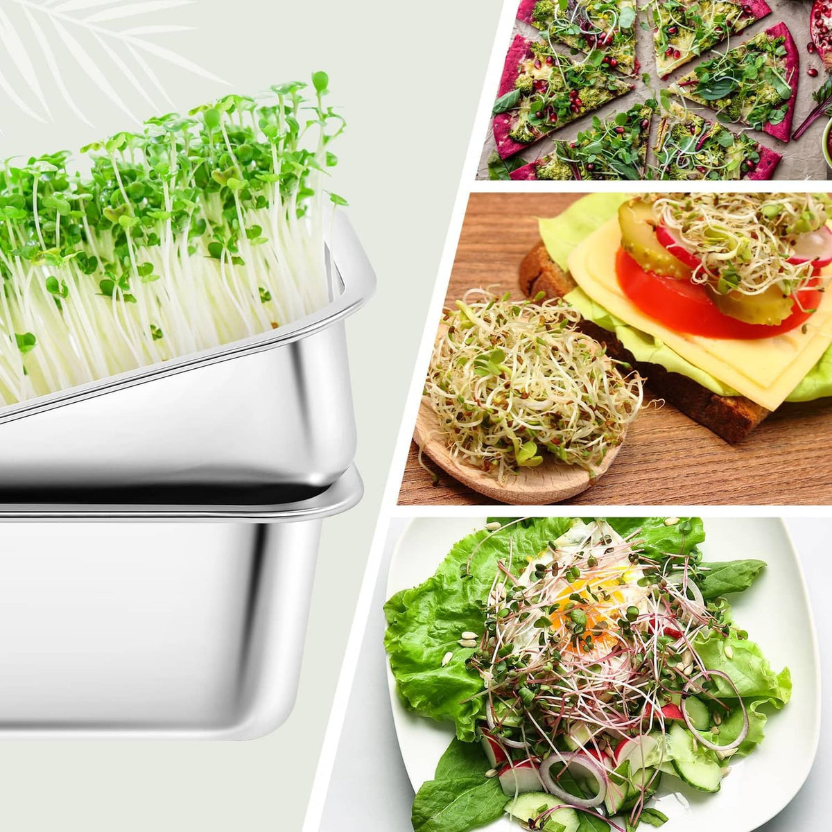 Stainless steel sprouting tray with green sprouts, angled close-up
