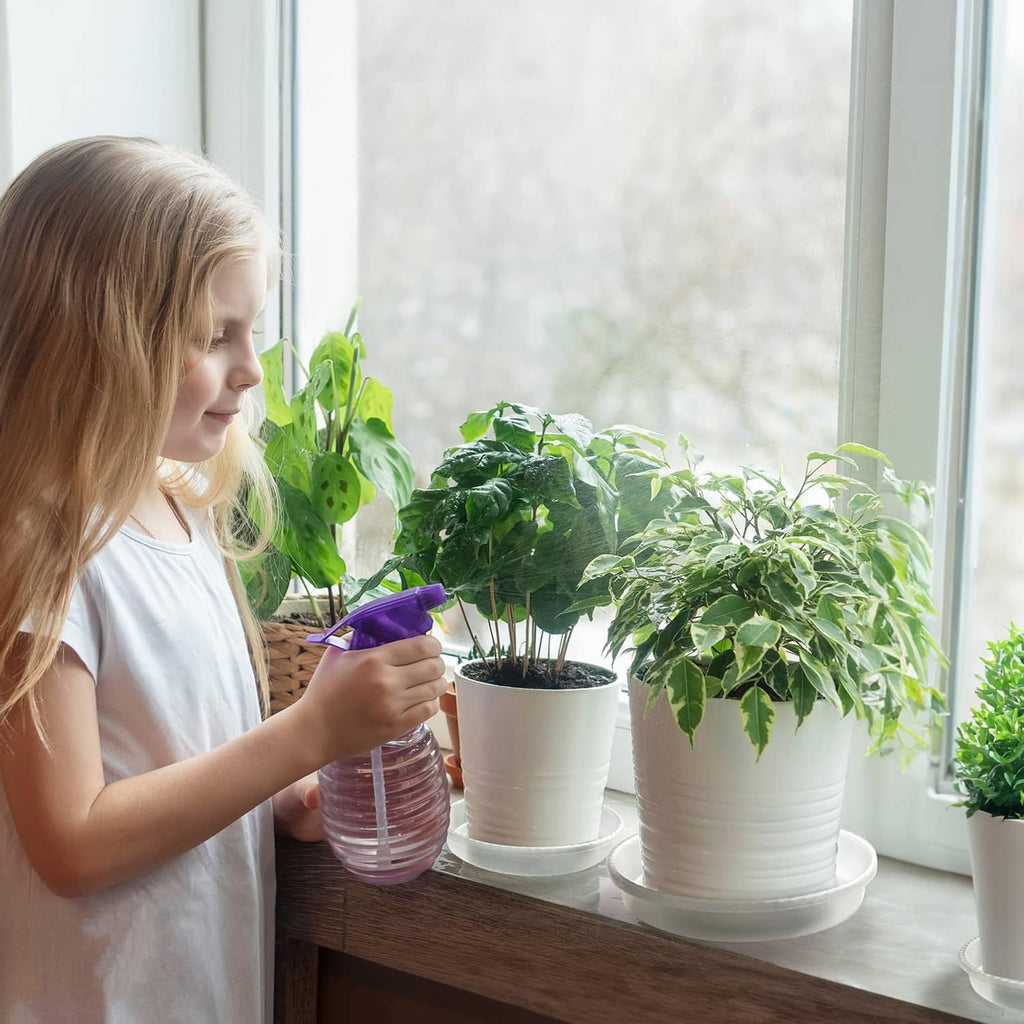 White plastic plant saucers under potted plants near a child watering