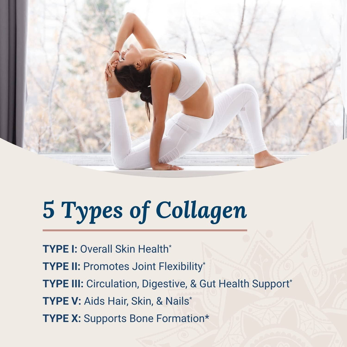 Collagen supplement infographic card listing five collagen types and health support