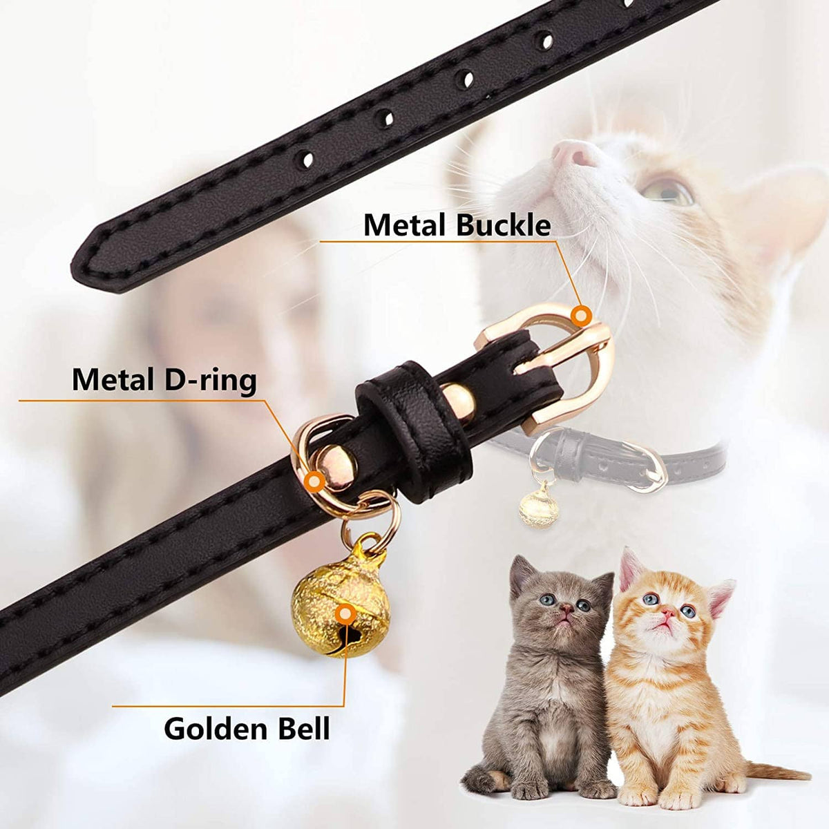 Black leather cat collar detail with metal D-ring, buckle, and golden bell