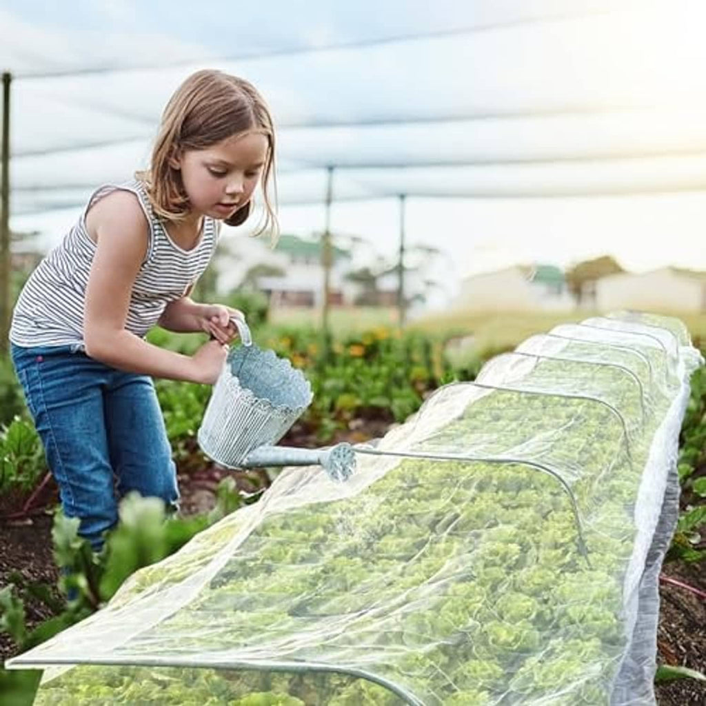Raised garden bed covered with ultra-fine clear mesh netting to protect leafy plants