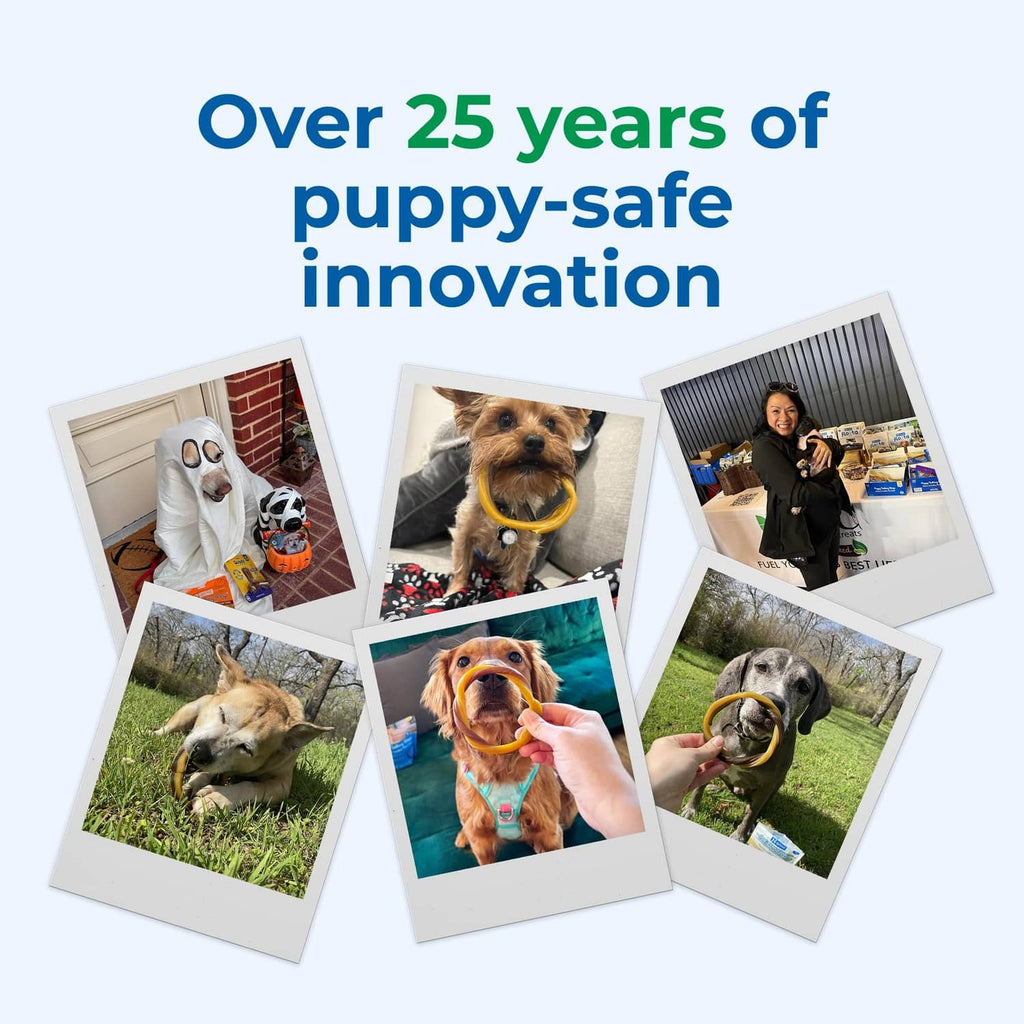Puppy-safe innovation collage showing brown teething ring in multiple scenes