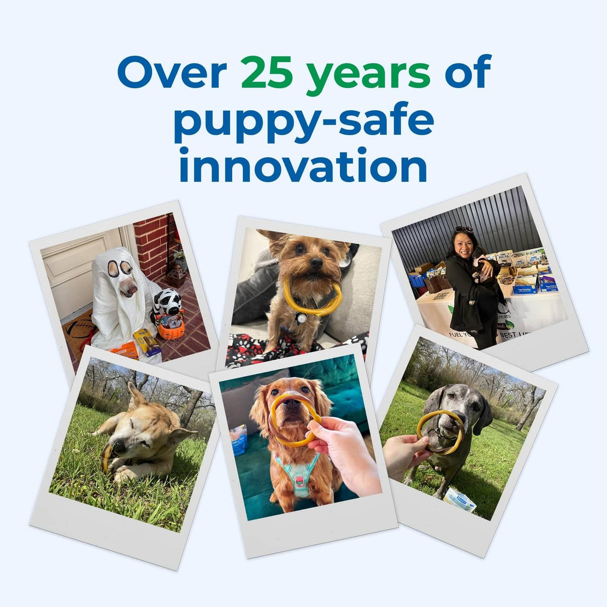 Puppy-safe innovation collage showing brown teething ring in multiple scenes